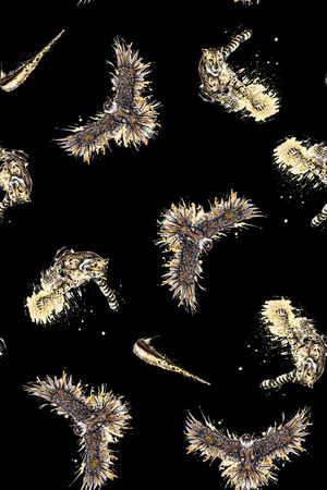 欧美大牌风格印花华亿平台图片