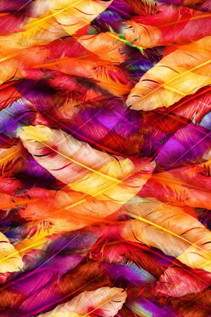 炫彩印花华亿平台图片