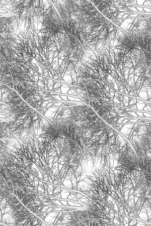 肌理印花华亿平台图片