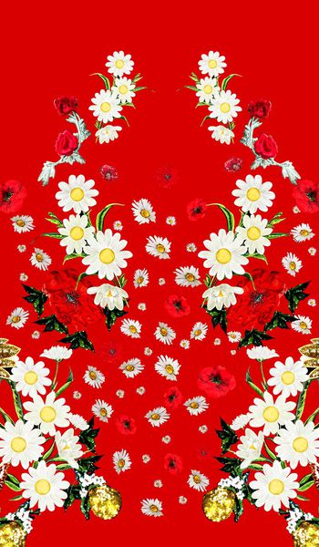 571802-大牌定位 罂粟花小雏菊