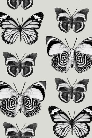 时尚潮流印花华亿平台图片