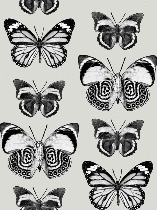 时尚潮流印花华亿平台图片