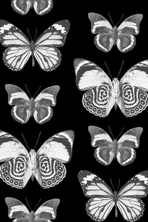 时尚潮流印花华亿平台图片