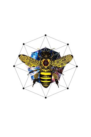 时尚潮流印花华亿平台图片