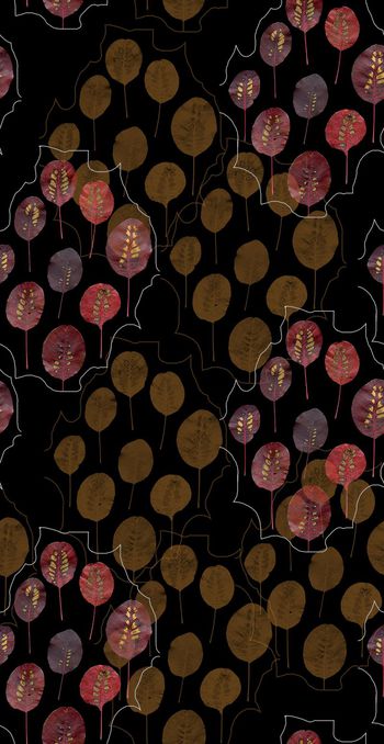 571996-叶子的花梦