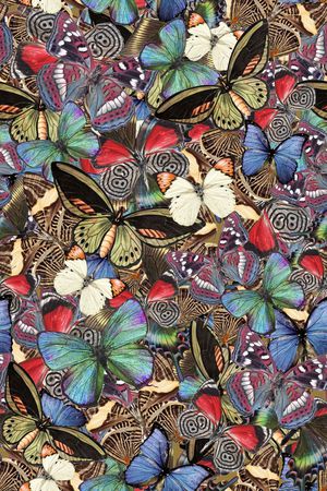 动物纹印花华亿平台图片