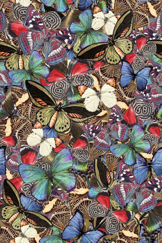 动物纹印花华亿平台图片