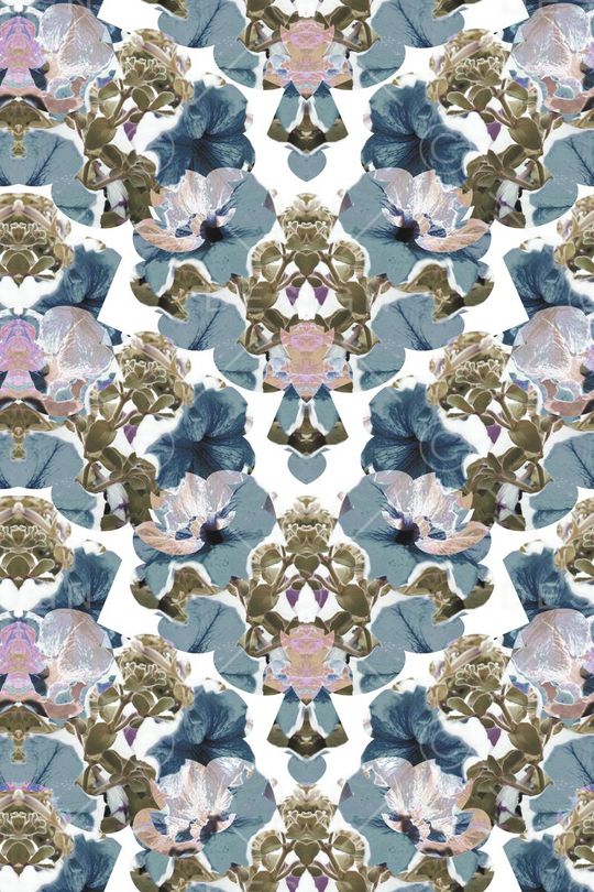 牵牛花印花华亿平台图片