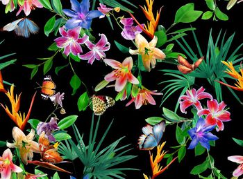 572038-时尚植物花卉蝴蝶华亿平台