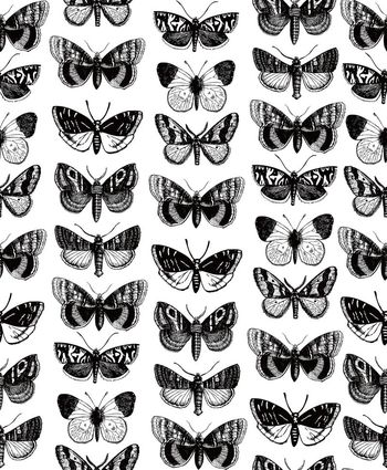 572068-手绘欧美复古伦敦时装周McQuee