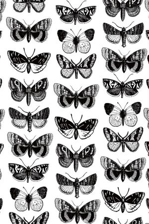 昆虫印花华亿平台图片