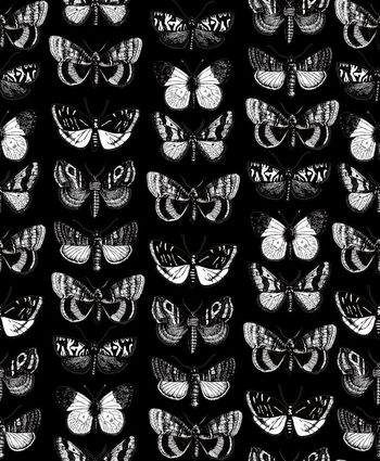 572069-手绘欧美复古伦敦时装周McQuee