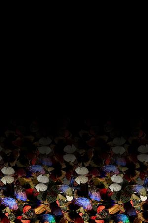 数码印花印花华亿平台图片