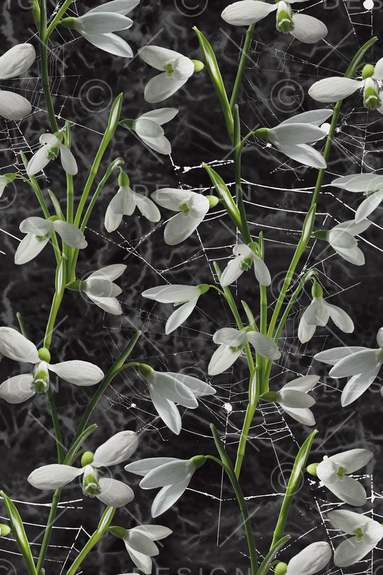 甜美 清新印花华亿平台图片