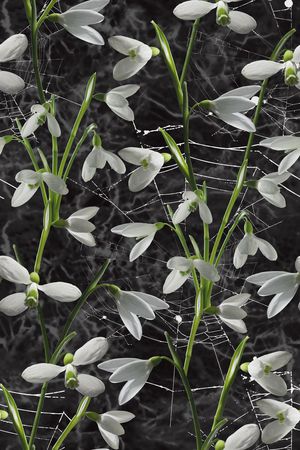 甜美 清新印花华亿平台图片