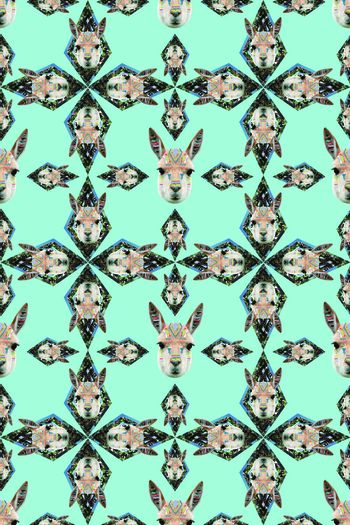 572112-流行时尚几何袋鼠