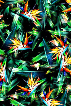 黑底时尚印花华亿平台图片