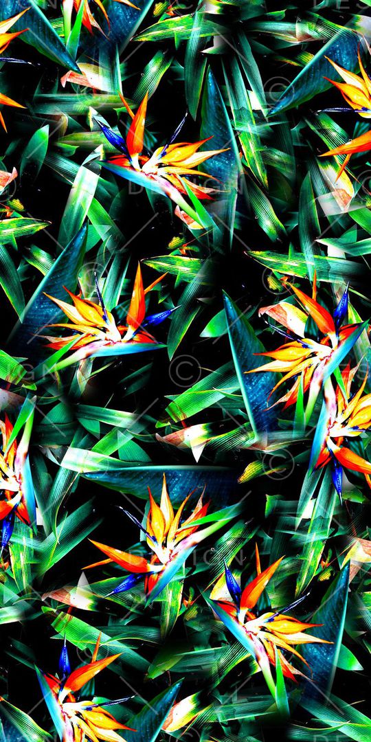 黑底时尚印花华亿平台图片