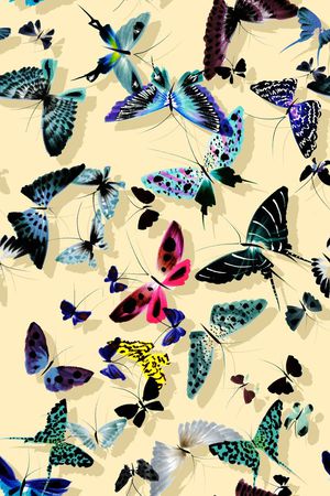 休闲印花华亿平台图片