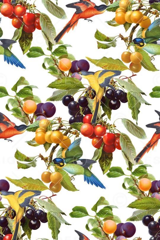 纯色底印花华亿平台图片