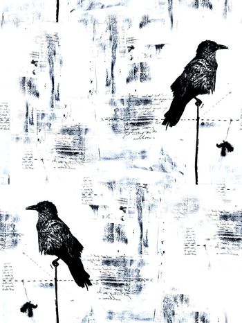 572397-时尚潮流大牌鸟男装图案