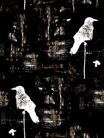 572398-时尚潮流大牌鸟男装图案