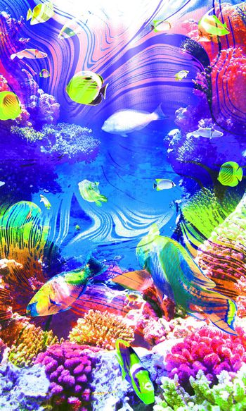 572413-绚丽彩色海底世界 鱼 珊瑚 海贝