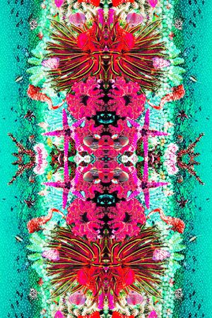 豹纹印花华亿平台图片