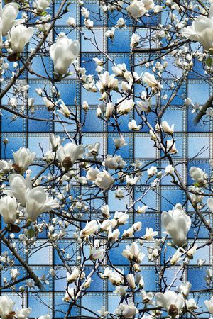 时尚印花华亿平台图片