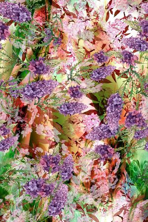 小清新印花华亿平台图片