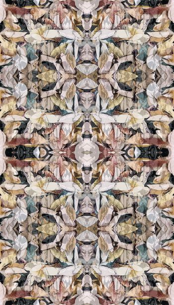 572559-时尚  流行   新潮    树叶