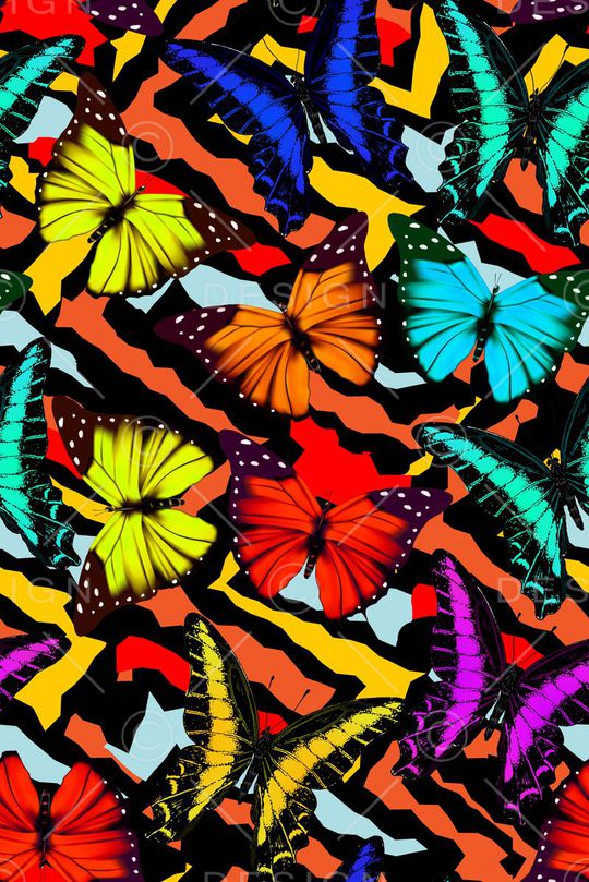 炫彩霓虹蝴蝶色谱动物昆虫色彩艺术印花华亿平台图片
