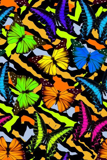 572631-炫彩霓虹蝴蝶色谱动物昆虫色彩艺术