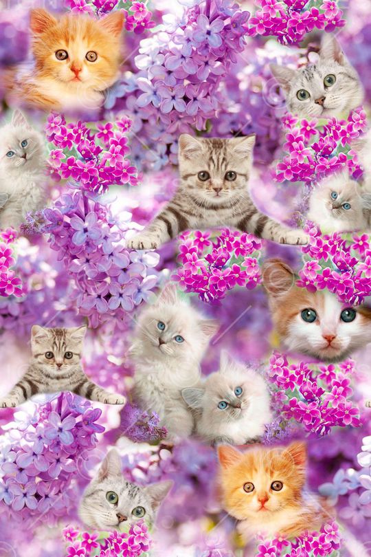 动物抽象印花华亿平台图片