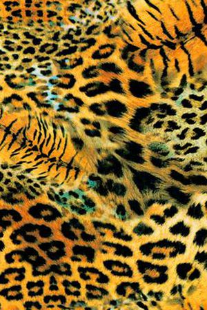 动物抽象印花华亿平台图片