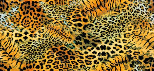 动物抽象印花华亿平台图片