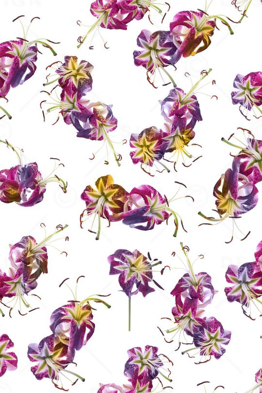 纯色底印花华亿平台图片