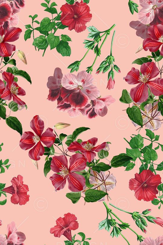 春夏华亿平台印花华亿平台图片