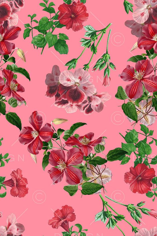 春夏华亿平台印花华亿平台图片