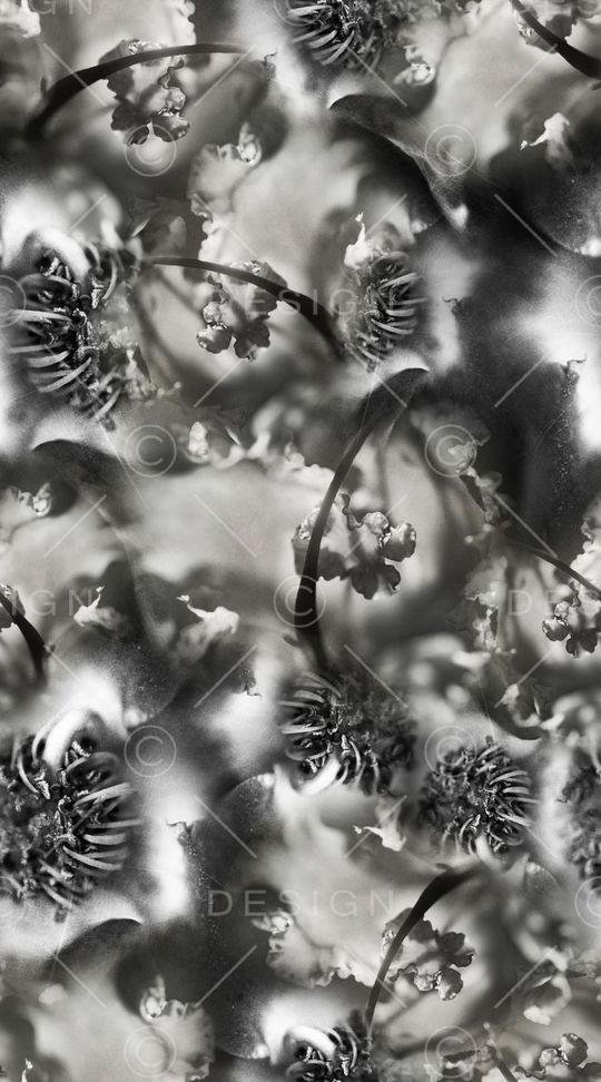 创意印花华亿平台图片