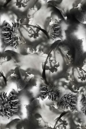 创意印花华亿平台图片