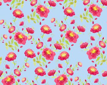 573087-花朵向日葵植物