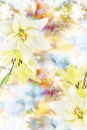 清新印花华亿平台图片