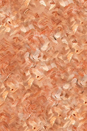 573402-肉色几何图形狮子纹菱形炫彩时尚流行