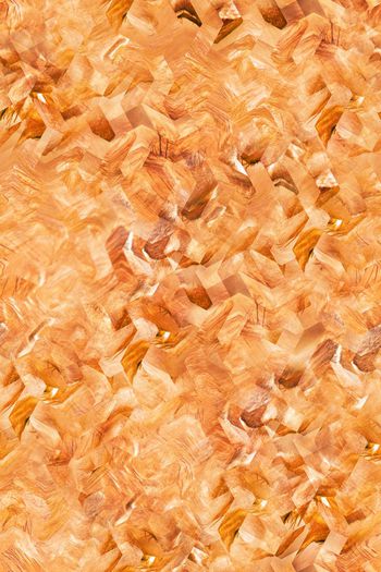 573405-肉色几何图形狮子纹菱形炫彩时尚流行