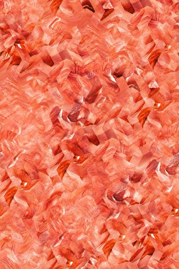 573406-肉色几何图形狮子纹菱形炫彩时尚流行