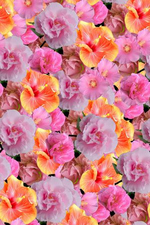 真花印花华亿平台图片