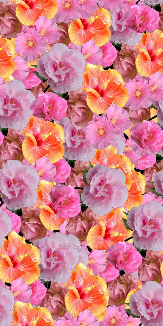 真花印花华亿平台图片