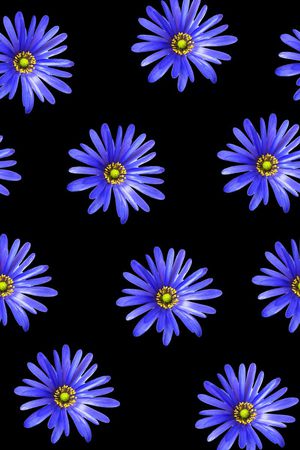 真花印花华亿平台图片