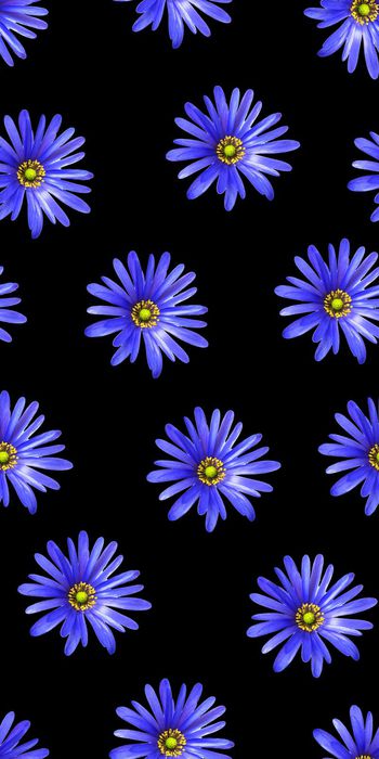 573468-真花 玫瑰 满版 丝绸 真丝 棉布